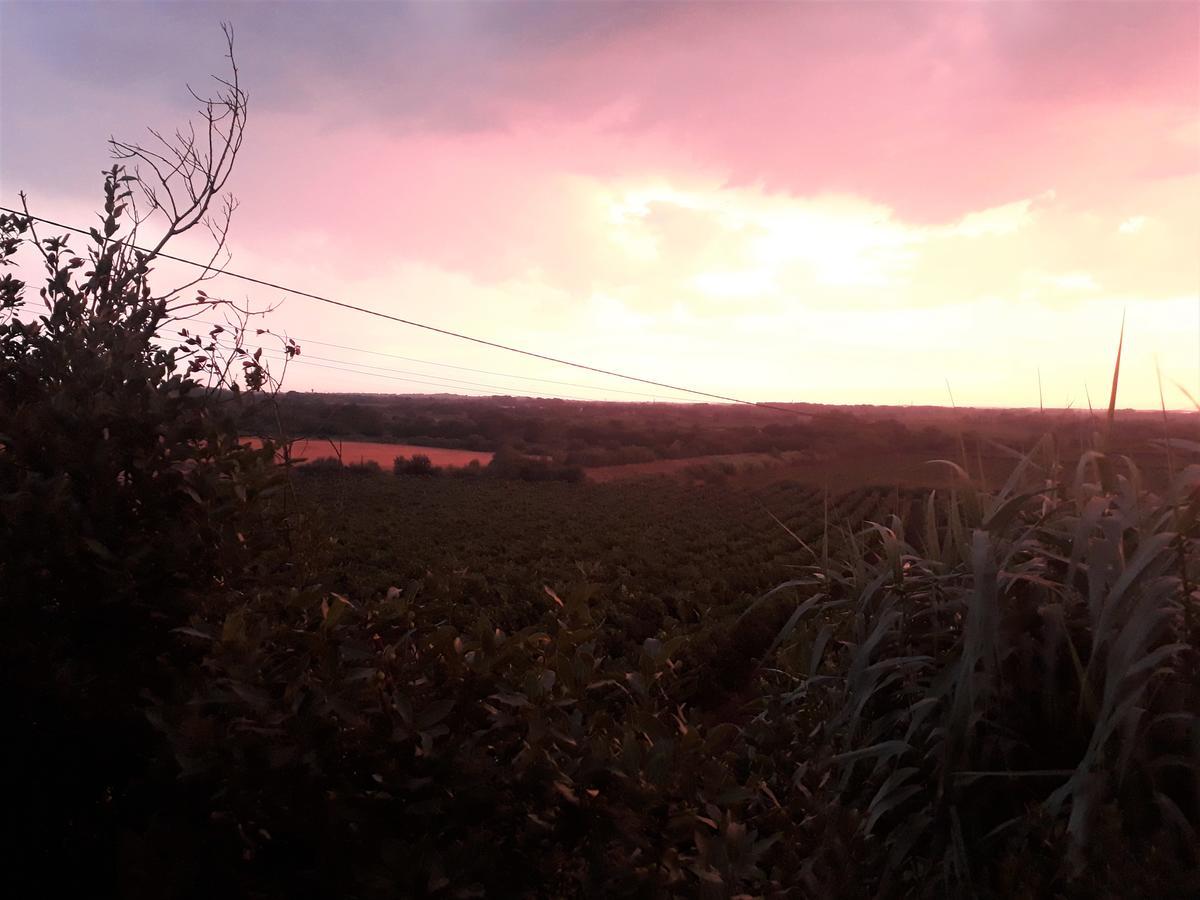 Domaine De Beaumont Villa Agde Luaran gambar